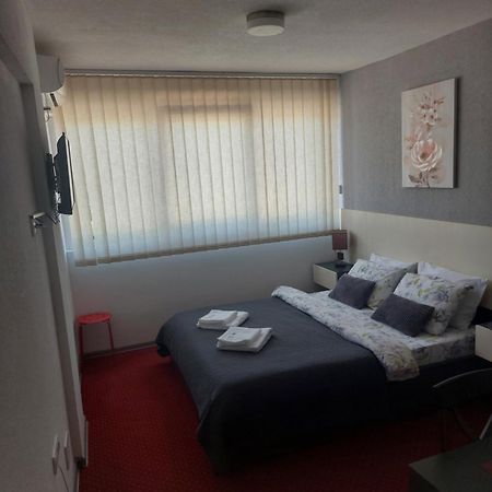Rooms S&S Milicevic U Strogom Centru Aleksandrovca Aleksandrovac Bilik gambar